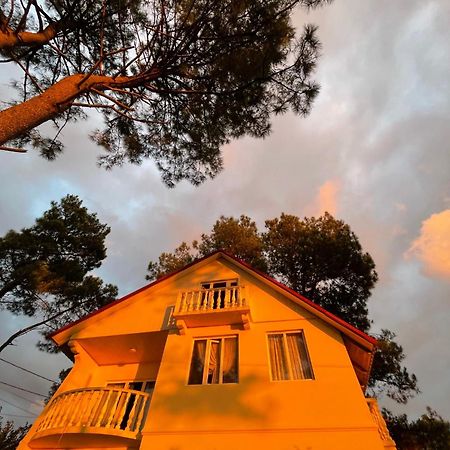 Kaprovani Villa 22 Shekhvetili Εξωτερικό φωτογραφία