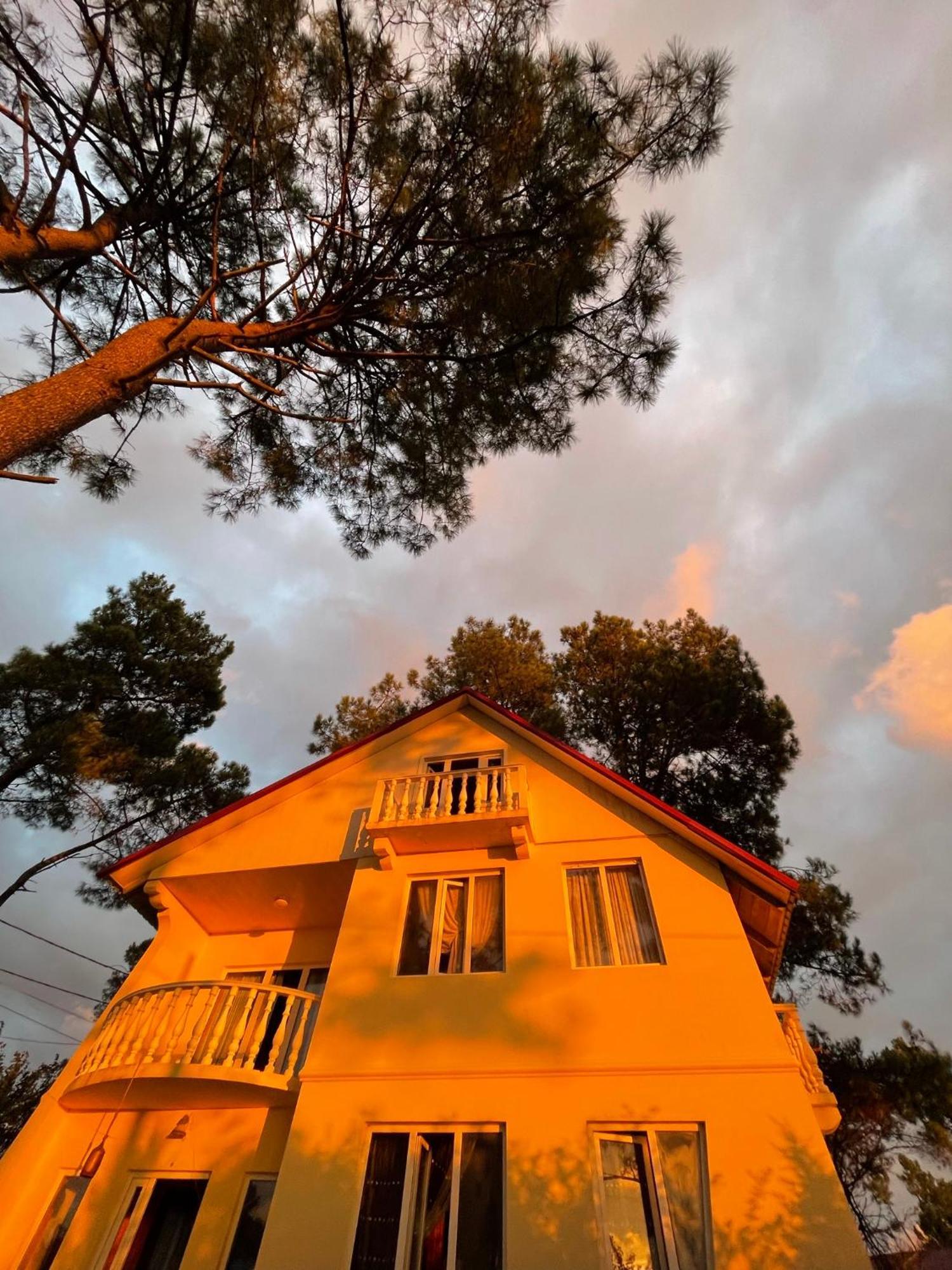 Kaprovani Villa 22 Shekhvetili Εξωτερικό φωτογραφία