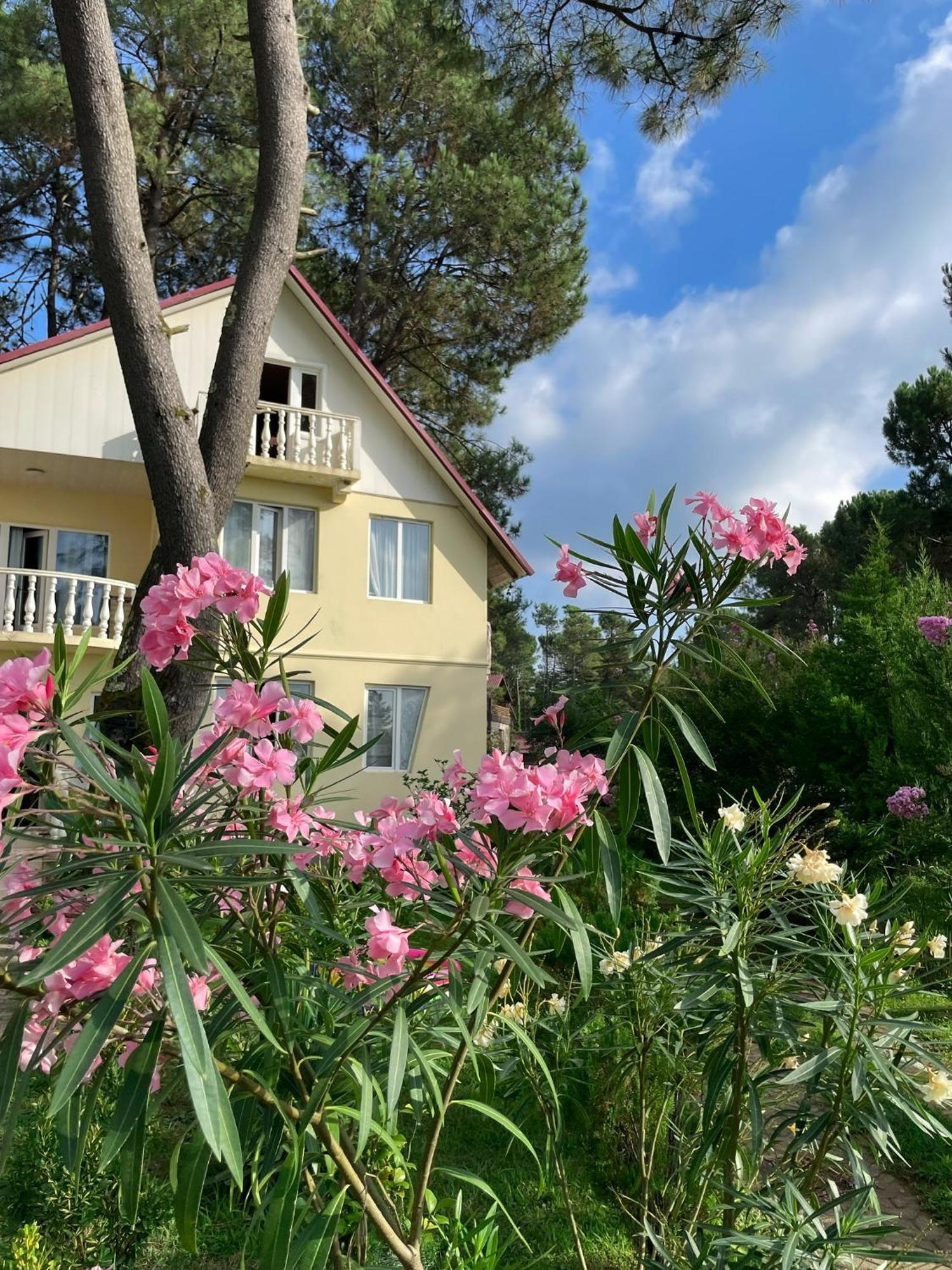 Kaprovani Villa 22 Shekhvetili Εξωτερικό φωτογραφία