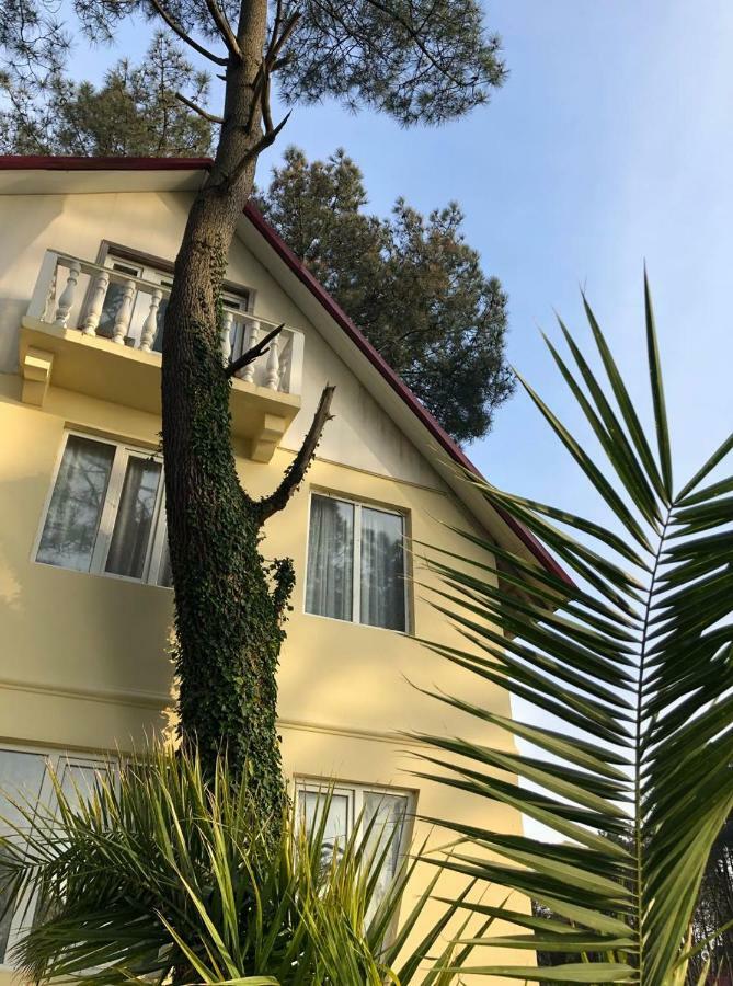 Kaprovani Villa 22 Shekhvetili Εξωτερικό φωτογραφία